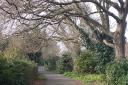 Landowners are being urged to cut back overhanging trees