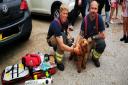 Dog rescued from Braintree kitchen blaze using pet-friendly oxygen masks