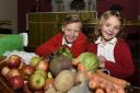 St Matthew's Church of England School pupils Jude Wilkinson, 10, and Rebecca Williamson, five, with harvest festival produce