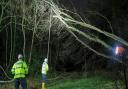 A fallen tree cut off power to hundreds of homes in Brandon - caused by Storm Dudley.