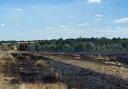 A blaze at Felsted almost destroyed crops, an Essex County Fire and Rescue Service spokesperson said