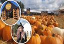 The Pumpkin House and Pumpkin Patch at Cammas Hall Farm