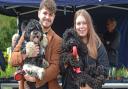 These dogs (and their owners) raised over £4,000 for St Clare Hospice, which costs £5 million to run each year. Picture: Vikki Lince Photography