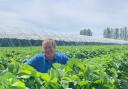 Jonathan Lukies, owner of Cammas Hall Farm