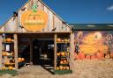 The Cammas Hall pumpkin patch opens at the end of September