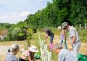 Gardening club at Old Park Meadow