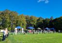 The Halloween Dog Show was held at the Gardens of Easton Lodge