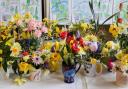 Flowers on display at the Bardfield Horticultural Society Spring Show