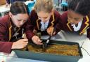 Felsted pupils learn how to plot an archaeological dig