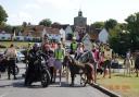 Horses and ponies took to the roads to raise awareness