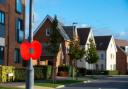 A lamppost poppy at a Barratt and David Wilson Homes development