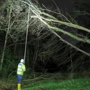 A fallen tree cut off power to hundreds of homes in Brandon - caused by Storm Dudley.