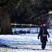 Haughley Park was a blanket of white on the morning of January 17.