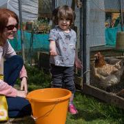 Visitors to Rainbow Rural Centre near Barnston were able to feed some of the animals during the open day