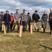 Stansted Airport workers have teamed up with Volunteer Uttlesford to plant 1,000 saplings in Widdington, Saffron Walden