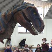 Getting up close to a Tyrannosaurus Rex at Felsted Prep School