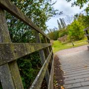 Great Notley Country Park is one of the many attractions in Essex