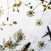 London Stansted Airport's flight numbers have risen as holidaymakers get away for their summer holiday