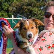 Best in show. The winner of the 2021 Felsted fun dog show is Astrid