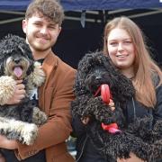 These dogs (and their owners) raised over £4,000 for St Clare Hospice, which costs £5 million to run each year. Picture: Vikki Lince Photography