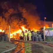 A dog died in a huge fire in a tyre yard in Braintree