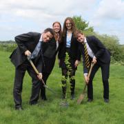 Felsted School took part in the Queen's Green Canopy project to plant trees last year