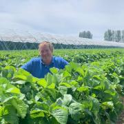 Jonathan Lukies, owner of Cammas Hall Farm