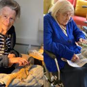 Residents at Croft House in Dunmow took part in an animal therapy session