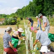 Gardening club at Old Park Meadow