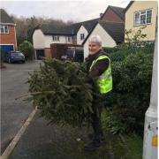 Volunteers collected Christmas trees for Helen Rollason Cancer Charity