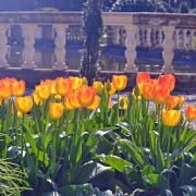 The Gardens are inviting visitors through its history and vibrant flora every Thursday, and on a special Sunday Open Day on April 21