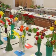 Show benches at the horticultural society show