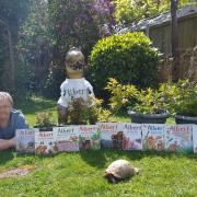 Author Ian Brown with Albert the Tortoise