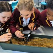 Felsted pupils learn how to plot an archaeological dig