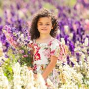 Hatter's Farm has launched the Confetti Flower Fields