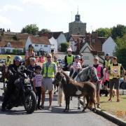 Horses and ponies took to the roads to raise awareness