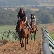 On the beautiful Oxfordshire gallops with David Dennis Racing.