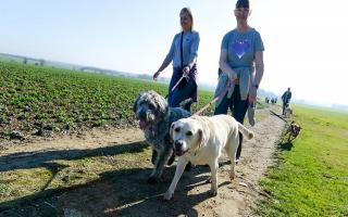 St Clare Hospice hope hundreds of walkers and their dogs to turn out for Winter Walkies 2022 near Hastingwood