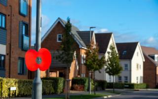 A lamppost poppy at a Barratt and David Wilson Homes development