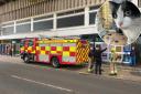 Rescue - Firefighters and a cat charity rescued a cat trapped on the roof of the Victoria Shopping Centre