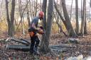 Coppicing trees at Sutton Hoo near Woodbridge