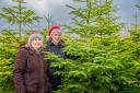 Farmers Richard and Jane Scott and  dogs Pip & Clara on their Christmas Tree plantation near Thorndon.