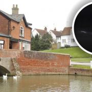 A surprise otter appearance has ignited hope for locals who believe the protected species will save their bridge from demolition. Pic: Newsquest/Nicky Eveleigh