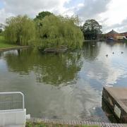 The Doctors Pond in Dunmow